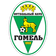 FC Gomel Logo