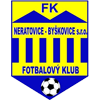 N. Byskovice Logo