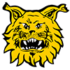 Tampereen Ilves 2 Logo