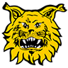 Tampereen Ilves 2 Logo