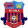 FC Gori Logo