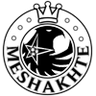 FC Meshakhte Tkibuli Logo