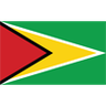 Guyana Logo