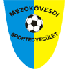 Mezokovesd Zsory SE Logo