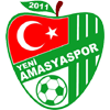 Amasyaspor 1968 FK Logo