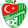 Amasyaspor 1968 FK Logo