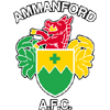 Ammanford Logo
