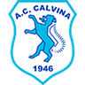 Desenzano Calvina Logo