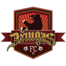 FC Dziugas Telsiai Logo