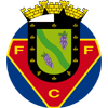 FC Felgueiras 1932 Logo