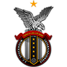 FC Stockholm Internazionale Logo