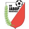 FK Javor Ivanjica Logo