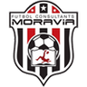 Futbol Consultants Desamparados Logo