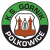 KS Gornik Polkowice Logo