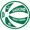 Sport Club Gaucho Passo Fundo RS Logo