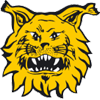 Tampereen Ilves Logo