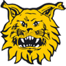 Tampereen Ilves Logo