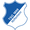 TSG 1899 Hoffenheim II Logo