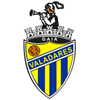 Valadares Gaia FC Logo