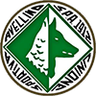 US Avellino Logo