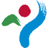 Seoul City WFC Logo