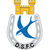 Dungannon Swifts FC Logo
